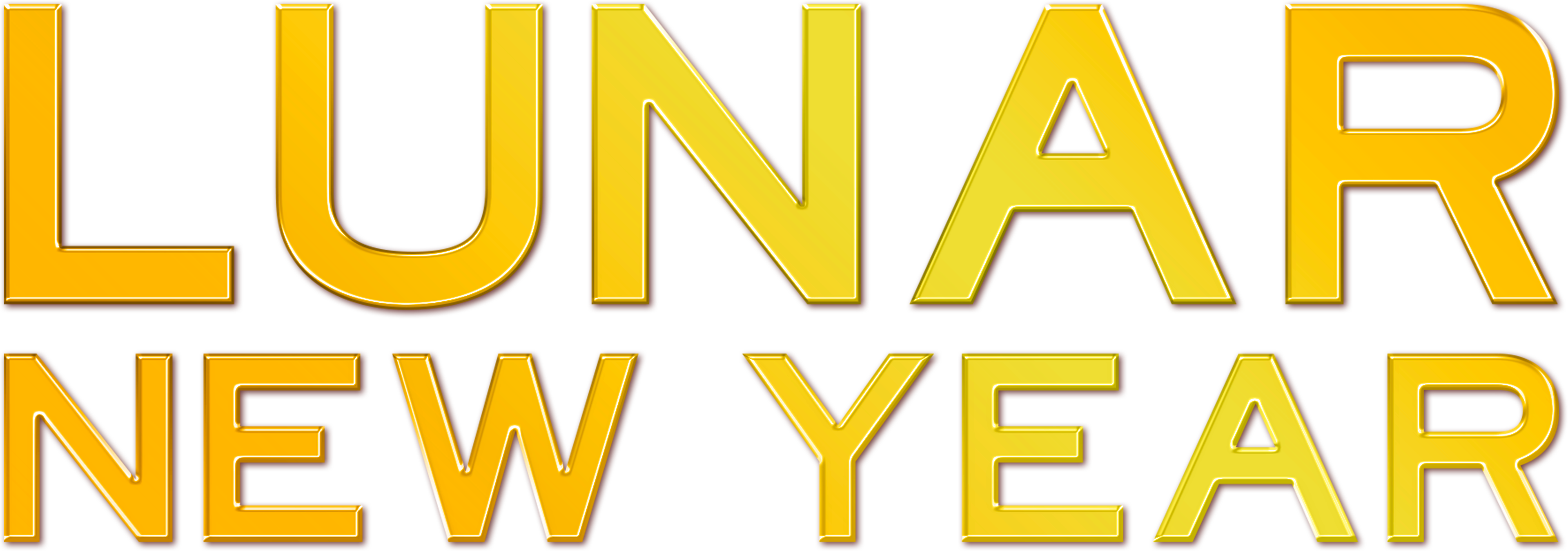Lunar New Year
