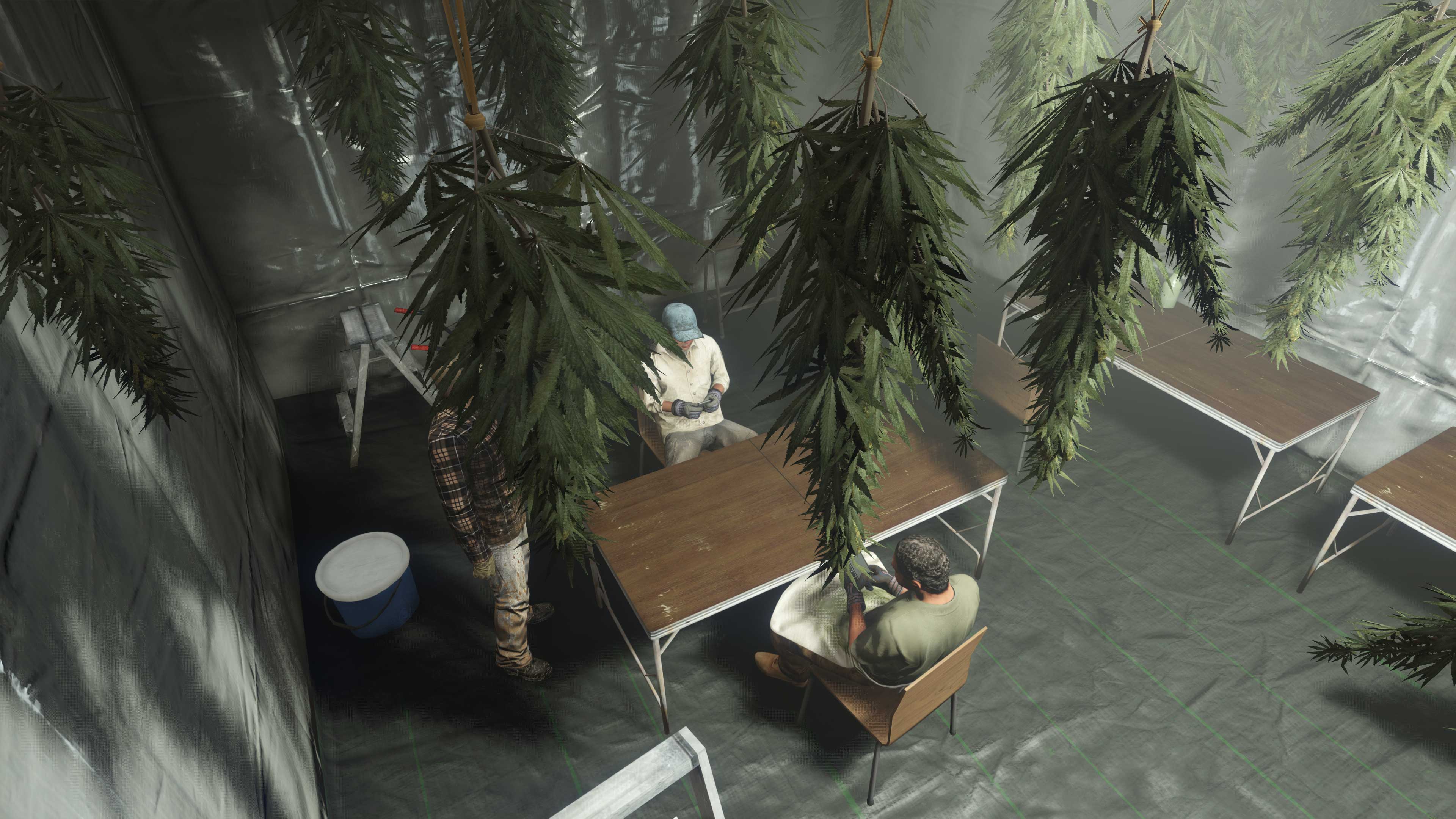 Marijuana plants hang from the ceiling above three characters who surround a desk. 