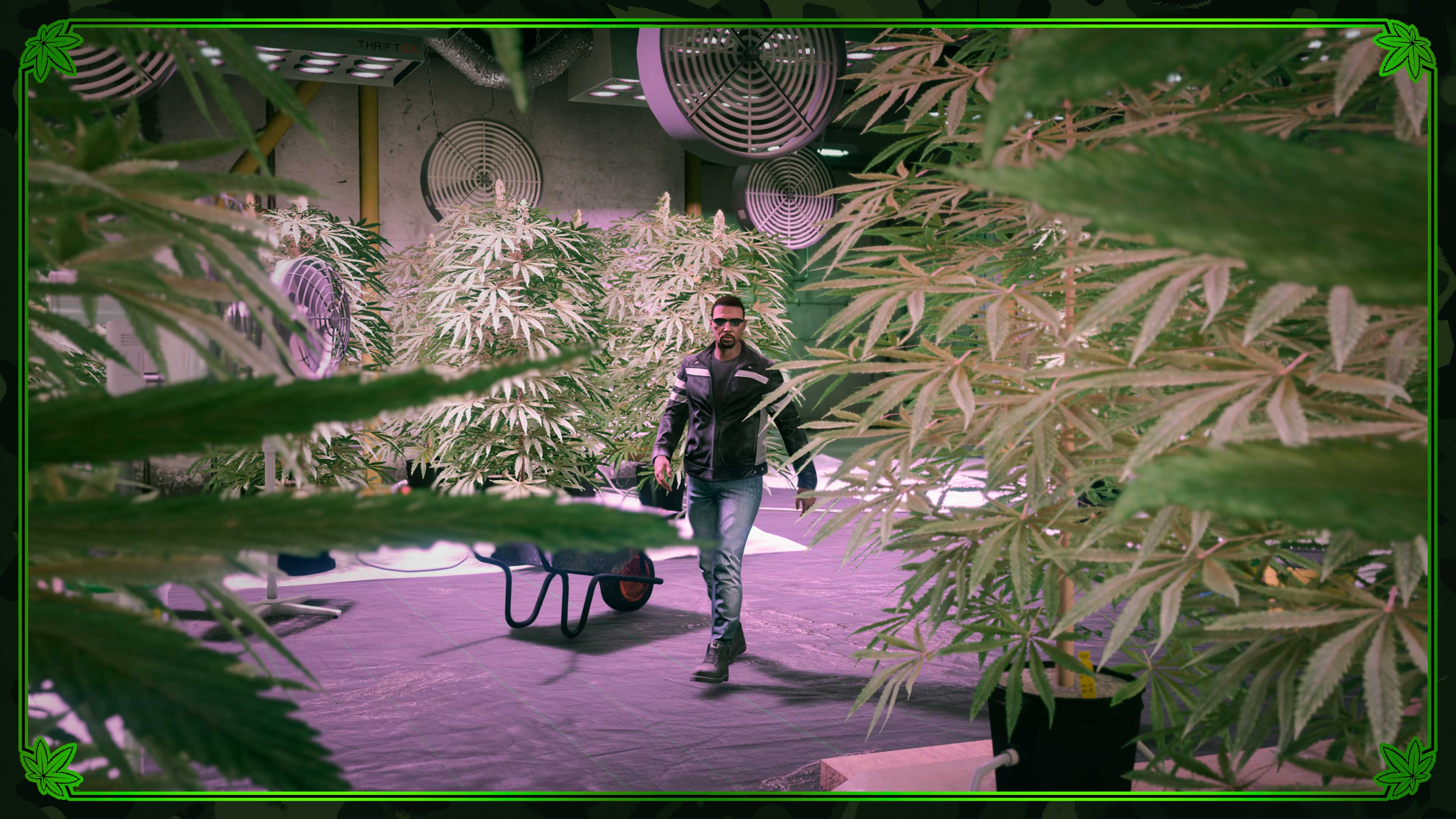 A character walks through their Weed Farm past towering marijuana plants.