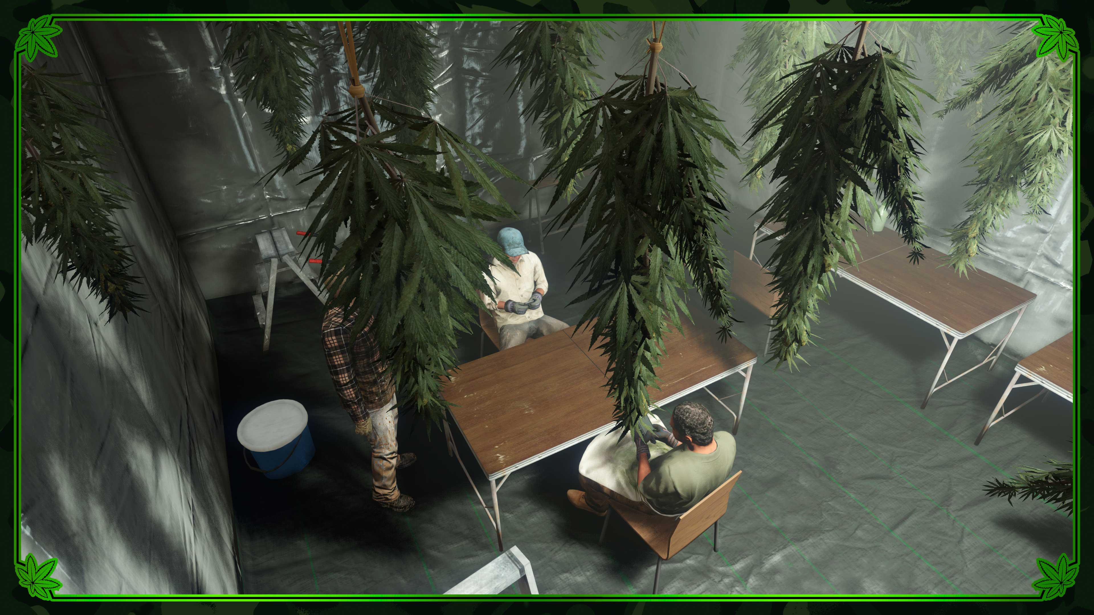 Marijuana plants hang from the ceiling above three characters who surround a desk. 