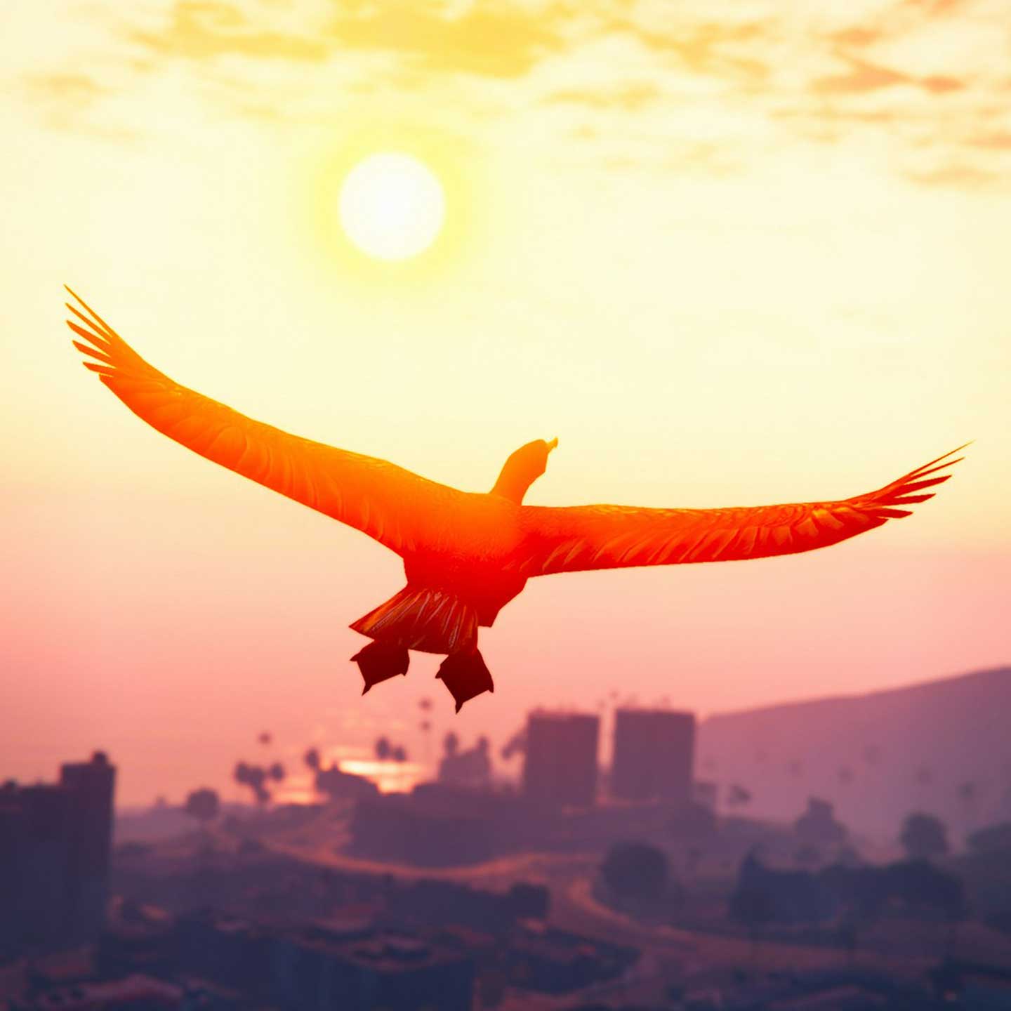 Community Showcase: Animals of San Andreas