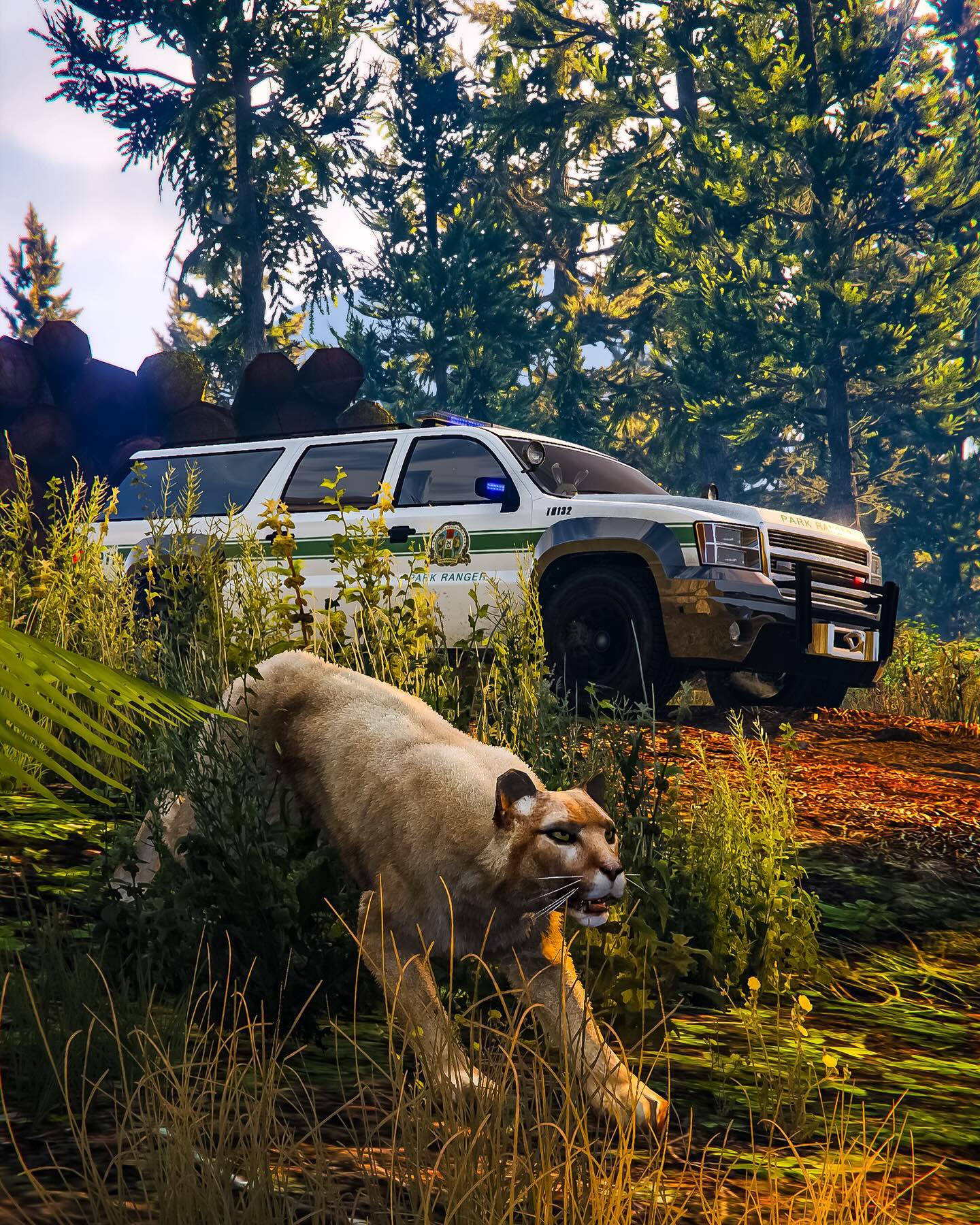 Screenshot/artwork